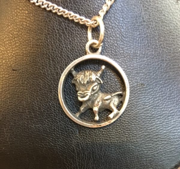 Pendentif Signe Zodiaque Taureau Argent